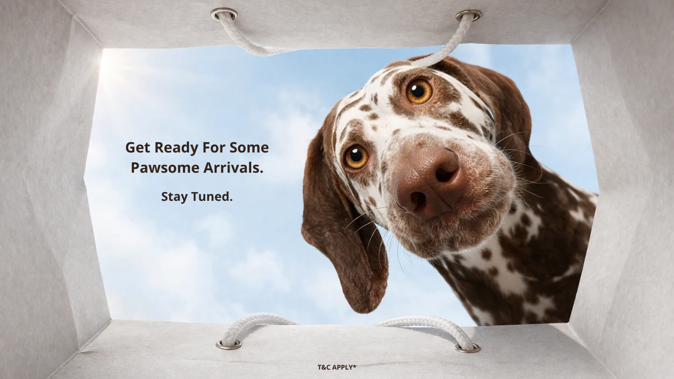 Welcome to Our Store